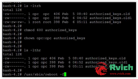 图片[10]-Oracle破解SSH密钥问题-柚子云